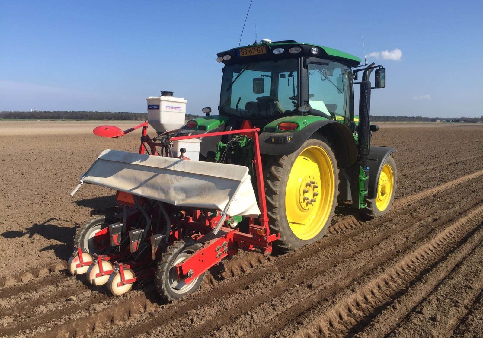 24b aspergeplanten zaaien